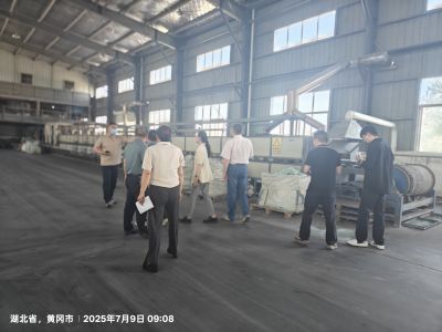 俄羅斯DAELIM公司代表蒞臨公司考察交流   共話合作新機遇